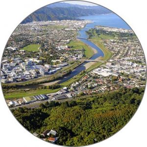 Lower Hutt Ant Control Services